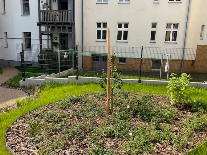 Baumpflanzung
