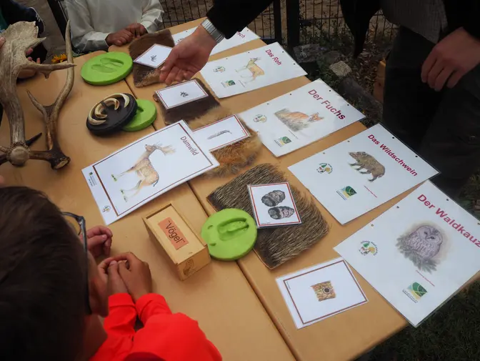 Schulgartenprojekt Bruno.-H.-Bürgelschule