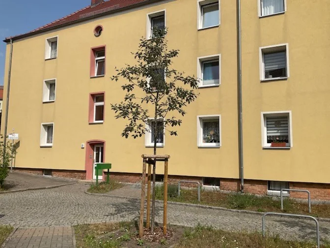 Baumpflanzung