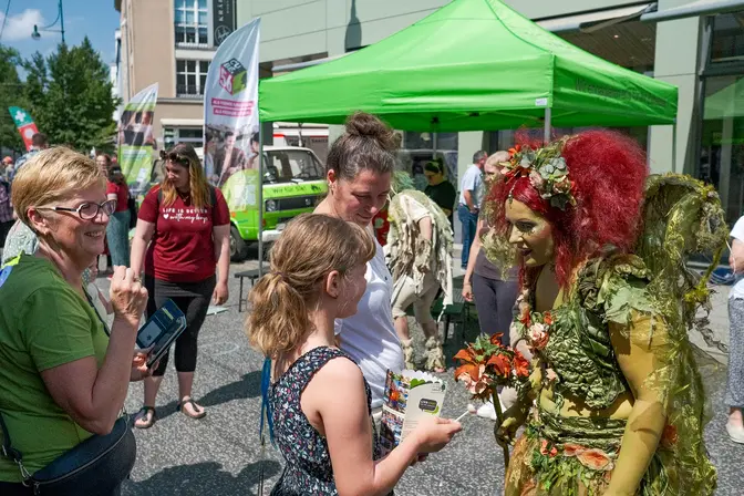 Waldstadtfestival WHG märchenhafter Zauber