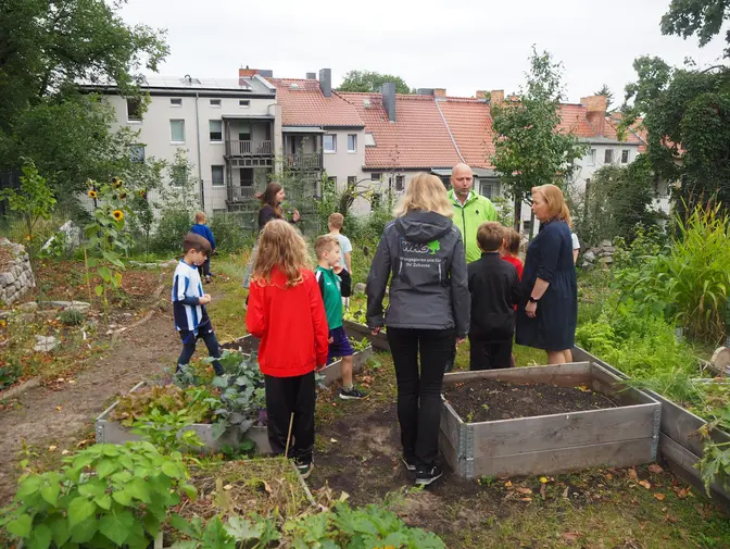 Schulgartenprojekt Bruno.-H.-Bürgelschule