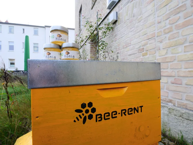 WHG.BienenZuhause und Honig