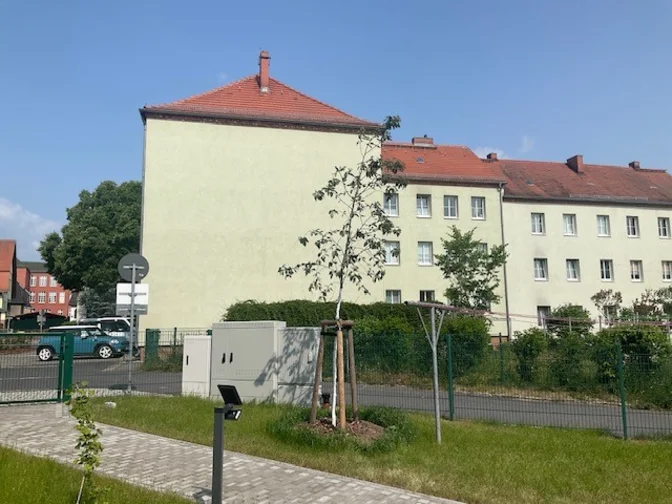 Baumpflanzung 